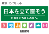 政策パンフレット
